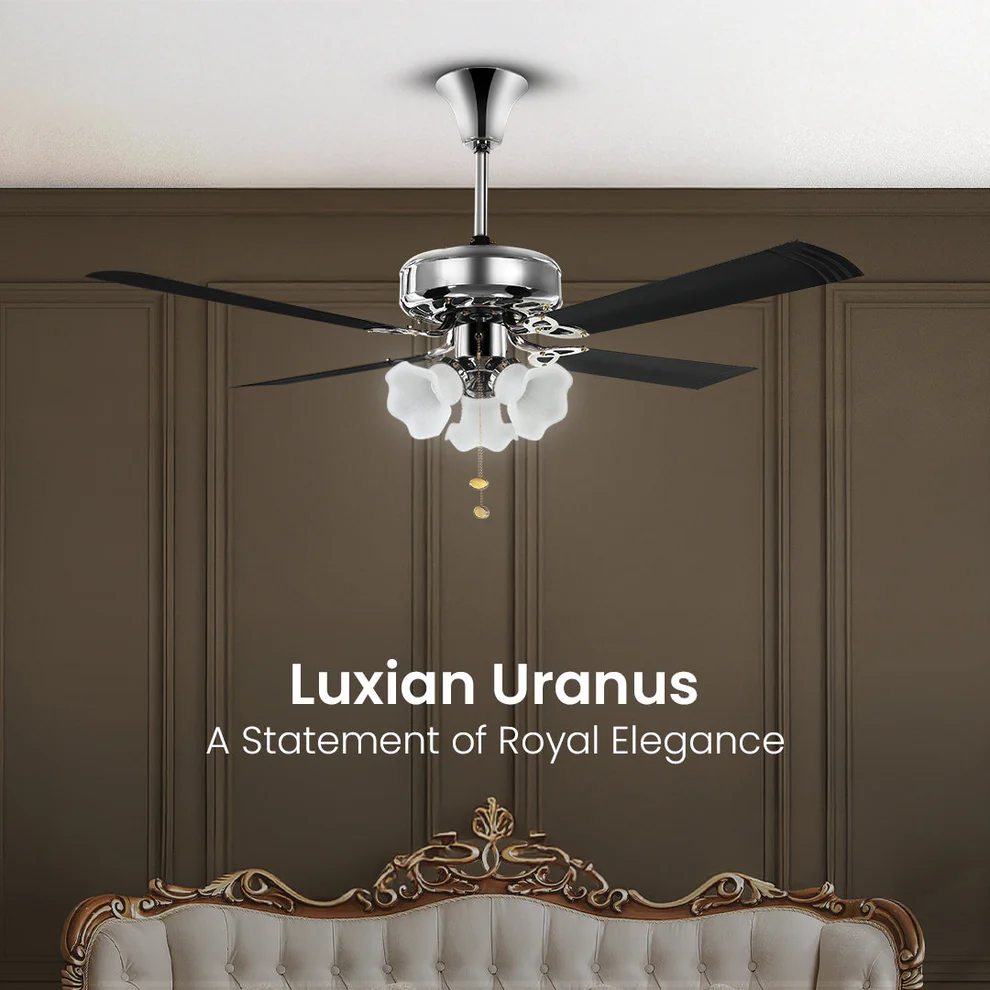 2_103e35e9-8115-4485-a4ac-89026e54daa4